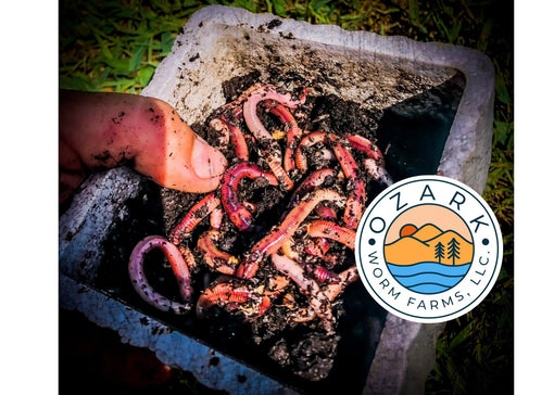 Why Raise Worms?: Potential Uses for Worms and Sales Opportunities for Farmers